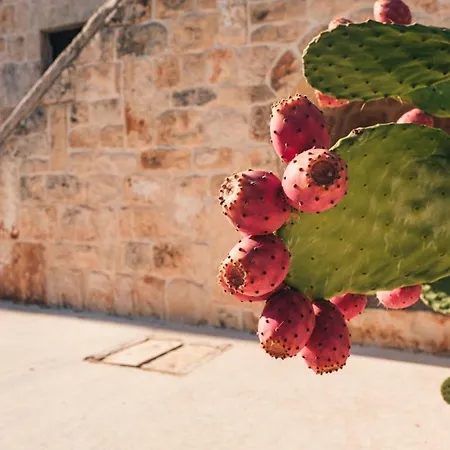 Helloapulia - Masseria Minetta Charming Experience צ'יסטרנינו