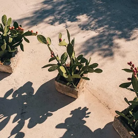 Helloapulia - Masseria Minetta Charming Experience * צ'יסטרנינו